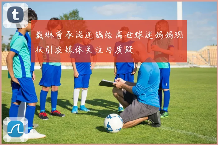 戴琳曾承诺还钱给离世球迷妈妈现状引发媒体关注与质疑