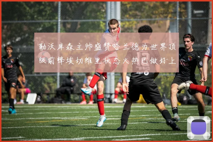 勒沃库森主帅盛赞哈兰德为世界顶级前锋埃切维里状态火热已做好上场准备