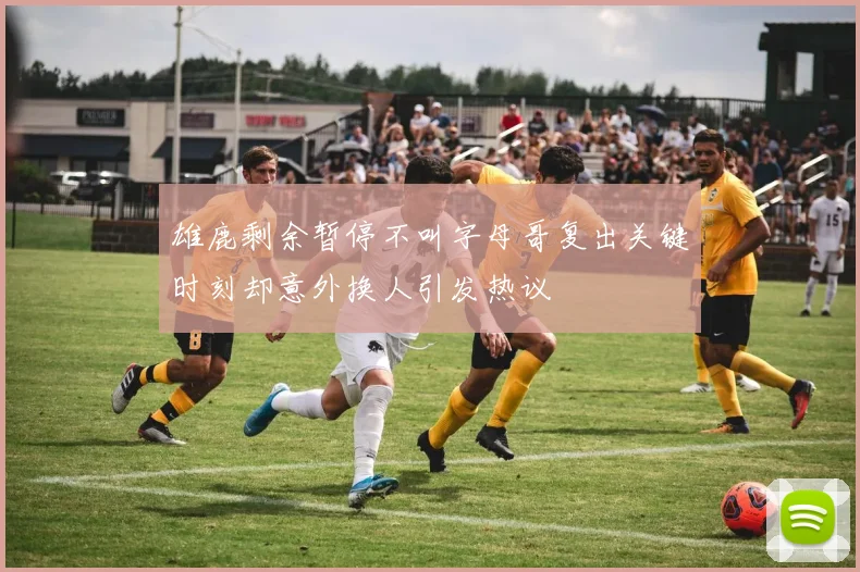 雄鹿剩余暂停不叫字母哥复出关键时刻却意外换人引发热议